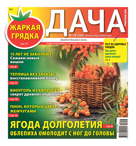 Газета ДАЧА